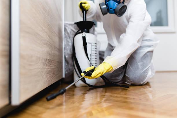 Best Bed Bug Extermination  in Hutchison, VA