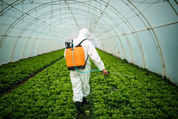 Best Mosquito Control Services  in Hutchison, VA