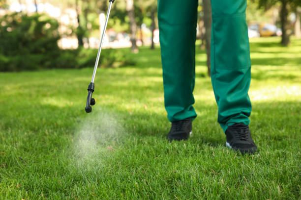 Best Affordable Exterminators  in Hutchison, VA