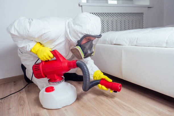 Best Ant Control Services  in Hutchison, VA