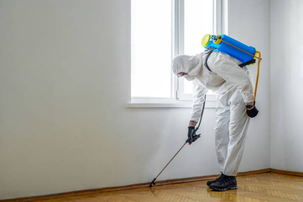 Best Wasp Removal Services  in Hutchison, VA