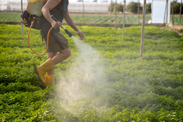 Best Exterminator Services  in Hutchison, VA
