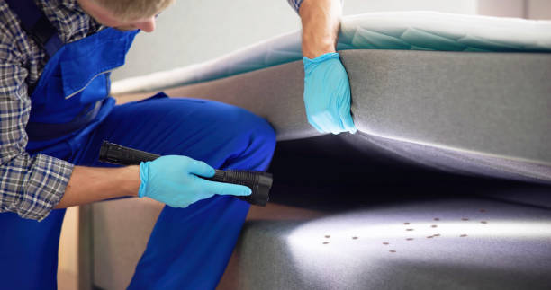 Best Best Pest Control Companies  in Hutchison, VA