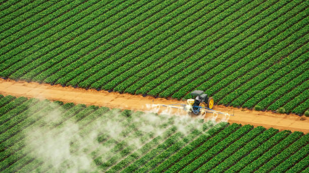 Reliable Hutchison, VA Pest Control Solutions
