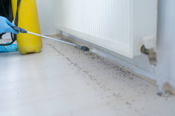 Pest Control Cost in Hutchison, VA