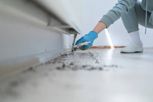 Best Pest Prevention Services  in Hutchison, VA